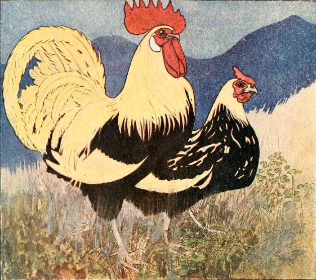 The little cock and the little hen walk on the mountain