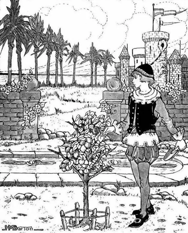 "The youngest prince watched the lemon tree carefully every day." Illustration by Helen M. Barton. Published in Tales of Giants from Brazil. 1918. Dodd, Mead and Company.