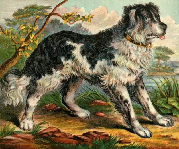 "Pria tua itu membawa seekor anjing besar dan kuat." Ilustrasi oleh ilustrator tak dikenal, digunakan di bawah Creative Commons.