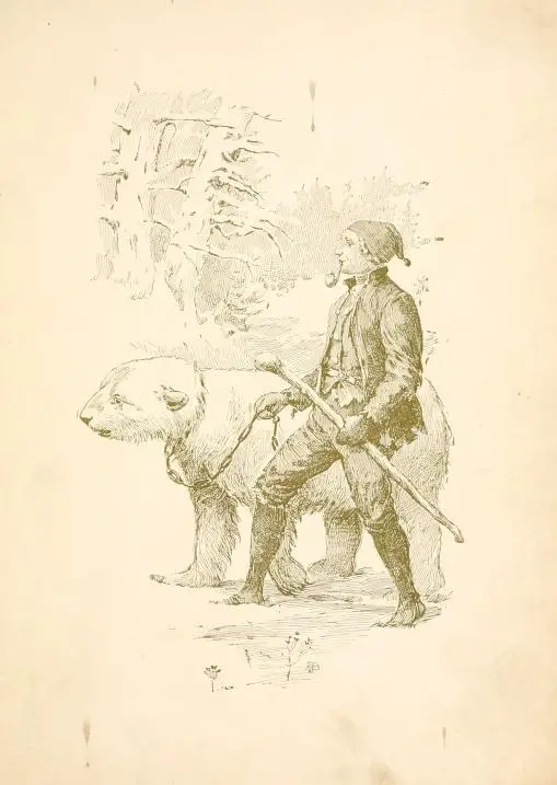 cat-on-dovrefell-christmas-in-norway