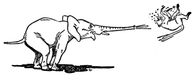 The elephant throws the hairy baboon